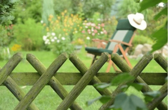 Privation de vue